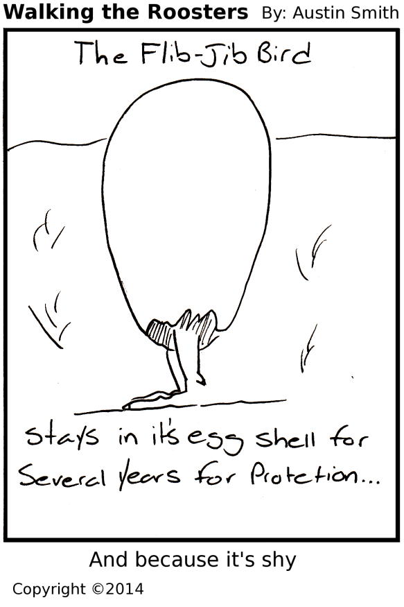 egg bird
