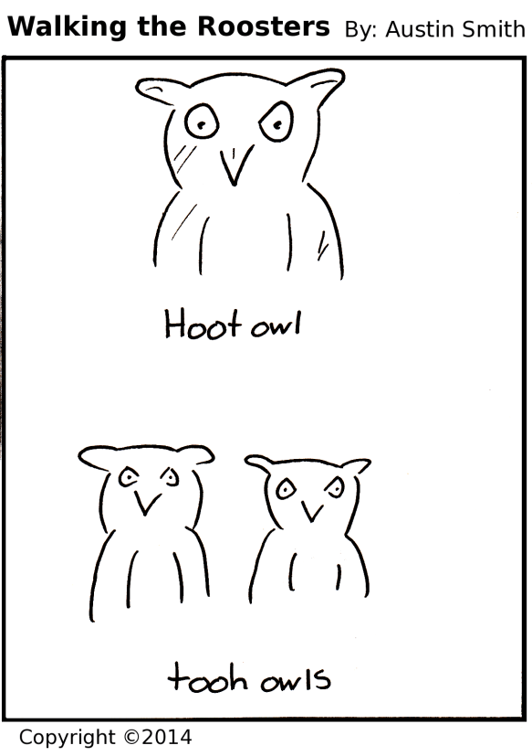 backwards owls