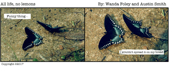 ALNL Margarine Flies