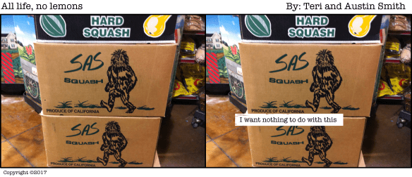 ALNL Shopping problem